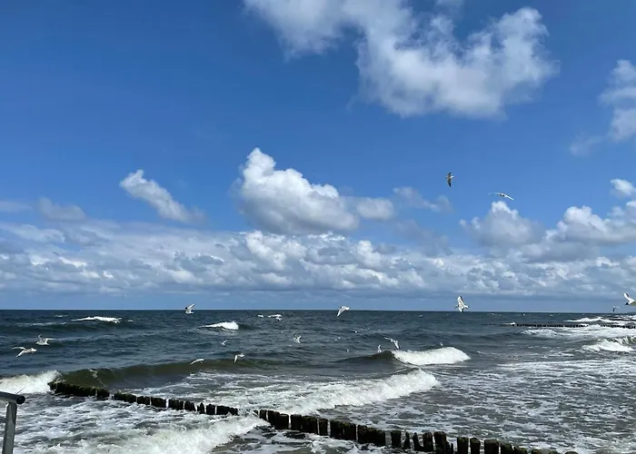 Arka Deluxe 723b Kolberg