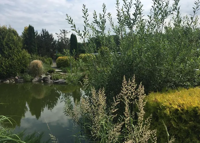 Arka Deluxe 723b * Kolberg